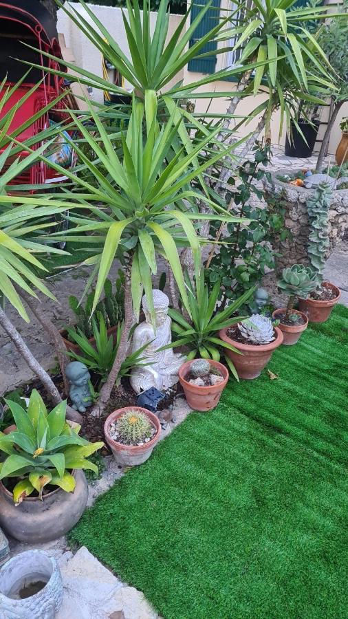 Site Paradis Rue Colibri Avignon