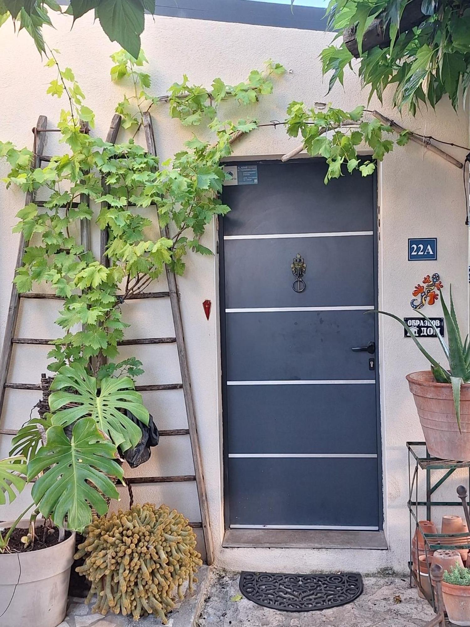 Site Paradis Rue Colibri