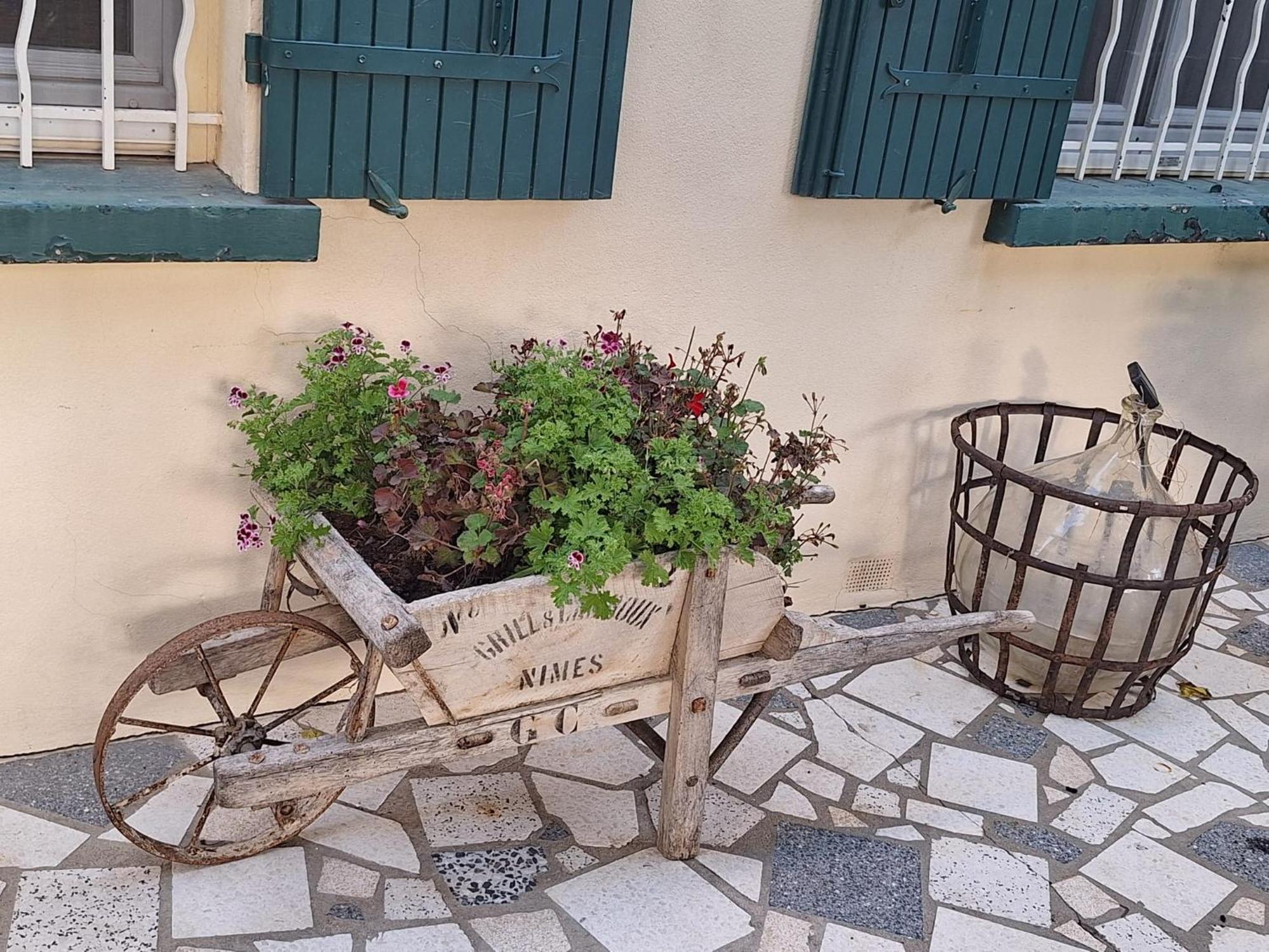 Apartment Site Paradis Rue Colibri Avignon