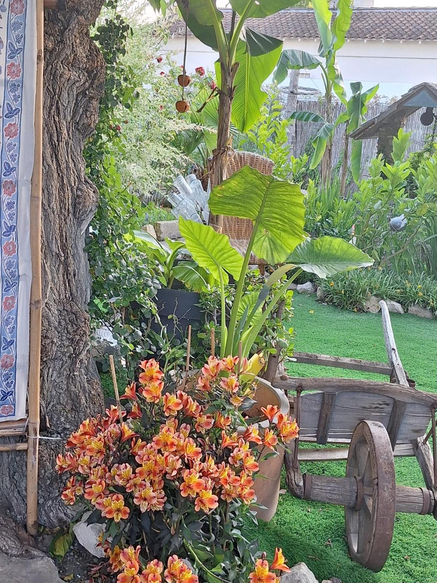 Site Paradis Rue Colibri *