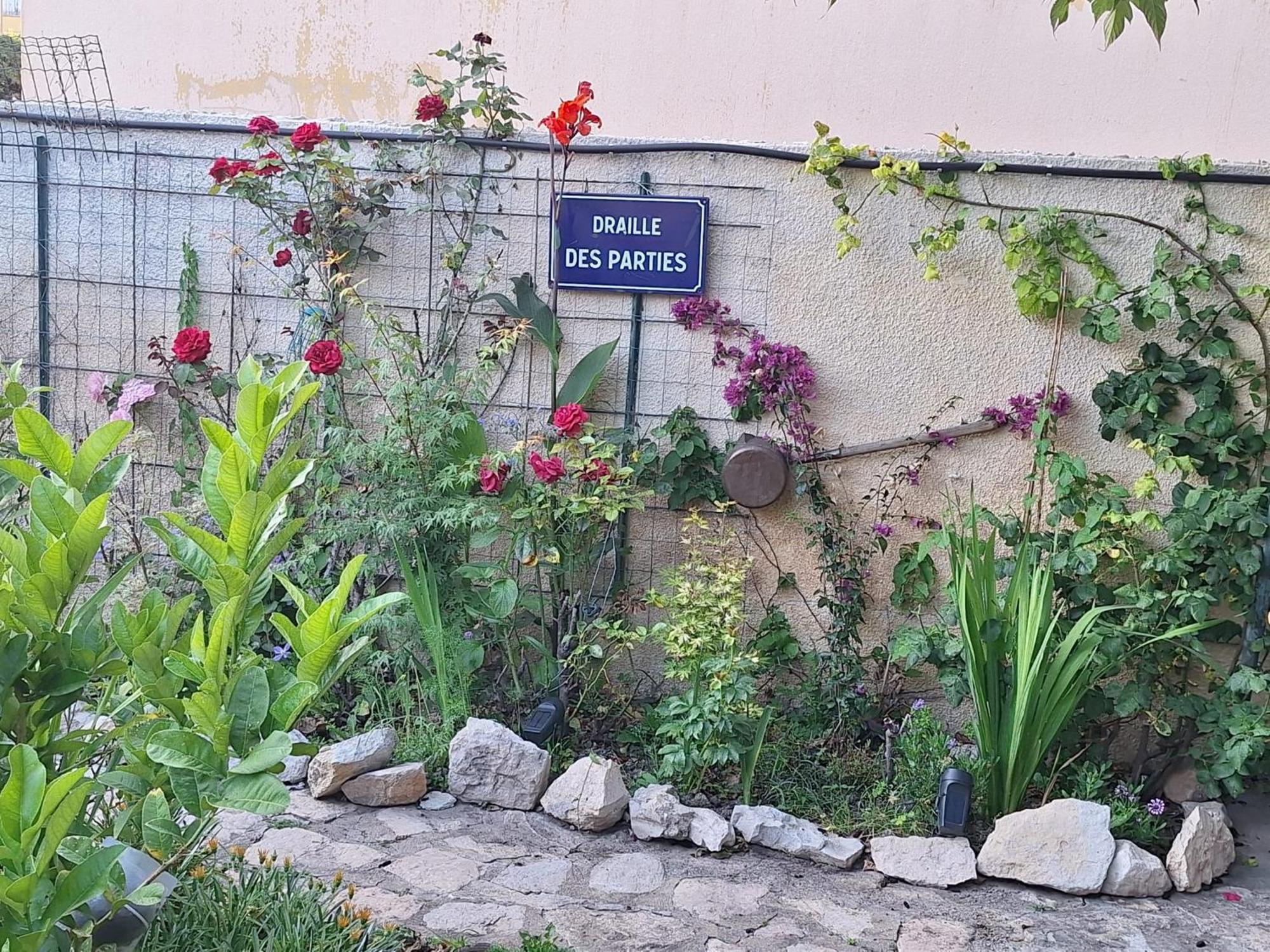 Site Paradis Rue Colibri Avignon